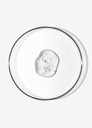 BABE-FAC-004 foto 4