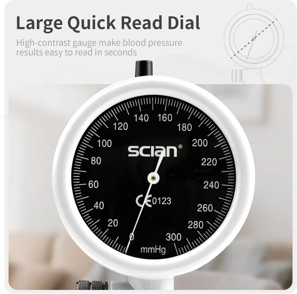 scian_5.webp